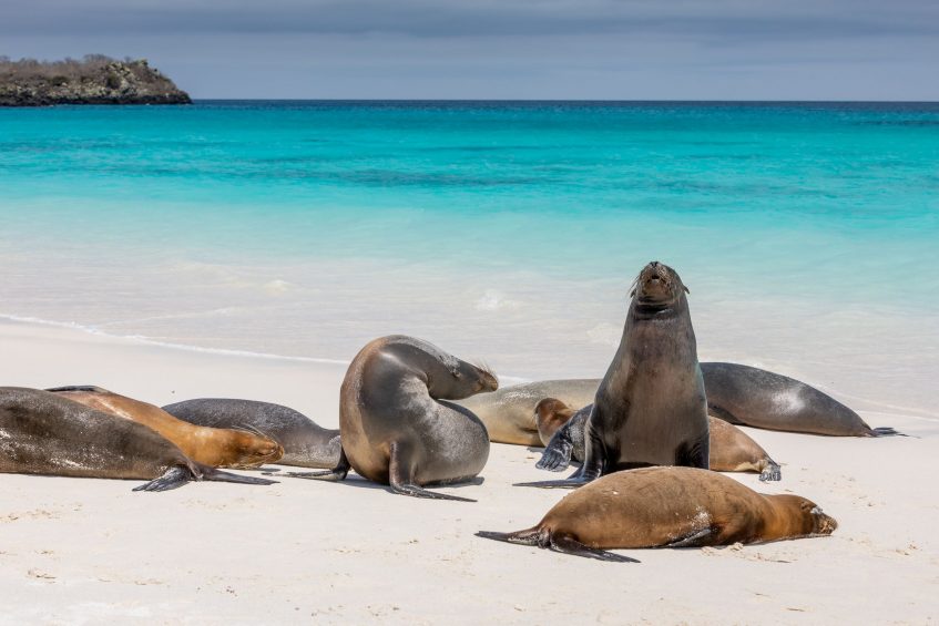 Guayaquil - Vol vers les Galapagos - Ile San Cristobal