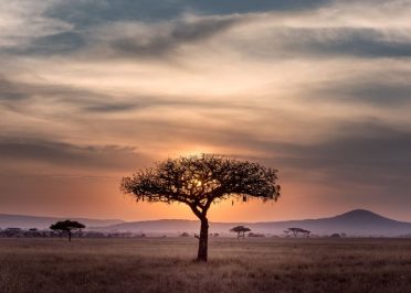 Karatu - Parc national de Serengeti