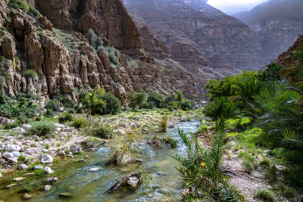 Mascate  Wadi Shab - Sur - Ras al Hadd