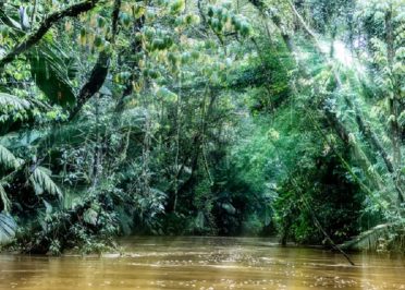 Caraïbes Sud - Tortuguero