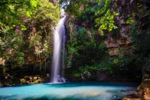 Plongez au cœur de la nature : Le Costa Rica, paradis des amoureux de la nature