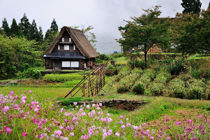 Takayama - Shirakawago - Kaga Katayamazu Onsen