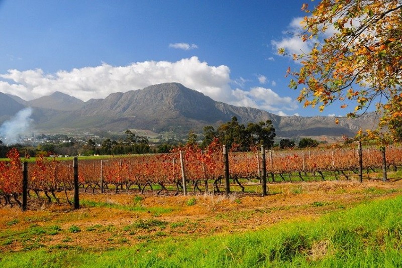 Le Cap - Route des vins - Le Cap