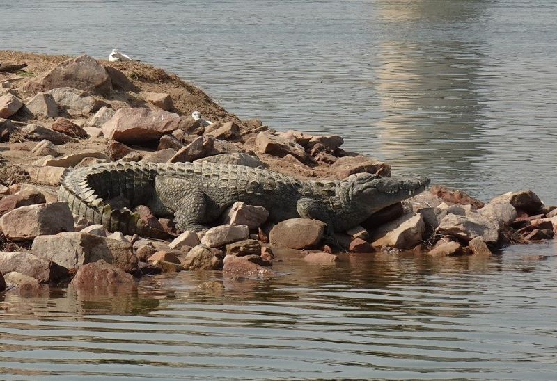 Agra - Chambal - Lucknow