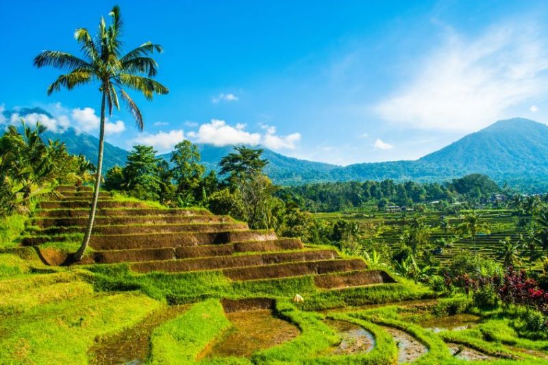 Ubud - Région des lacs - Pemuteran