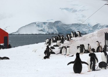 Navigation en Péninsule Antarctique