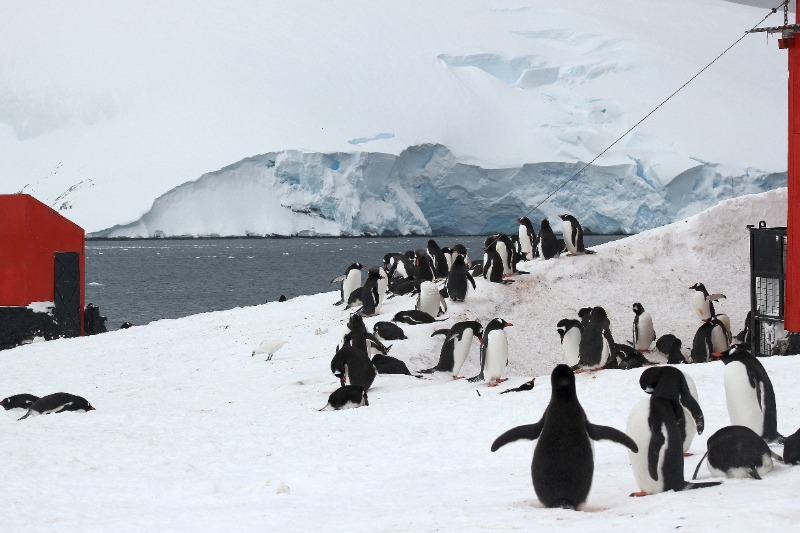 Navigation en Péninsule Antarctique