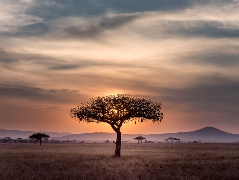 Karatu  Parc national de Serengeti