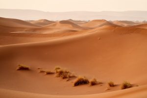 Les anecdotes fascinantes du Sahara : un voyage à travers les mystères du plus grand désert du monde