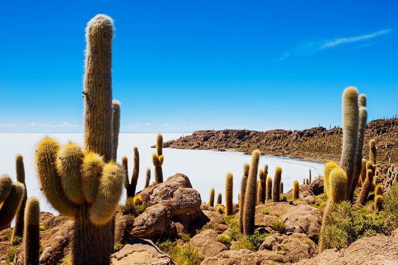 Uyuni  San Pedro de Quemez