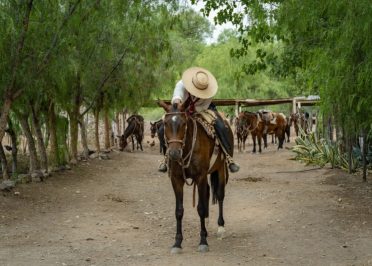 Buenos Aires - San Antonio de Areco - Buenos Aires