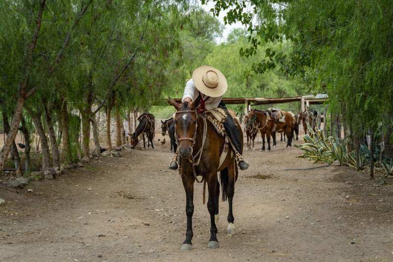 Buenos Aires - San Antonio de Areco - Buenos Aires