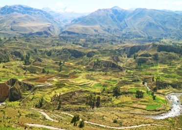 Canyon de Colca - Puno