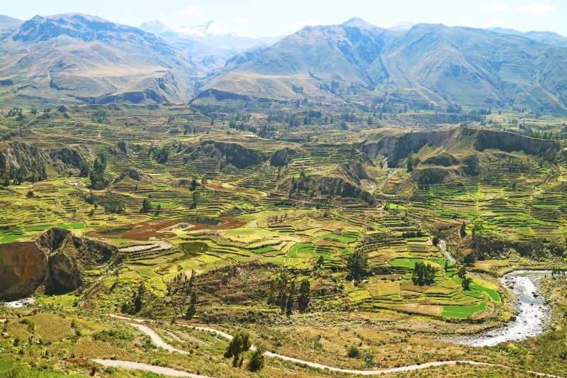 Canyon de Colca - Puno