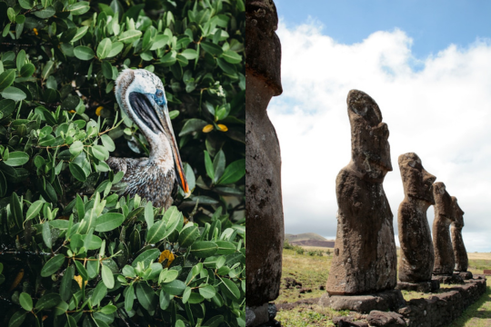 Passion Équateur et les îles Galapagos