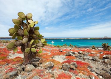 Santa Cruz - Santa Fé - Santa Cruz