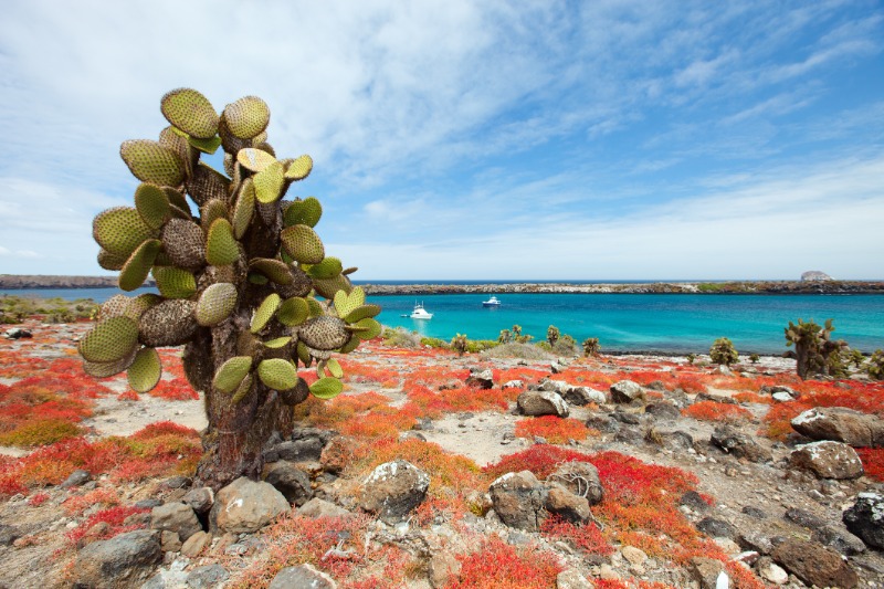 Santa Cruz - Santa Fé - Santa Cruz