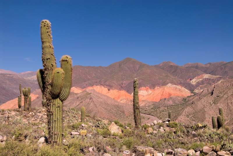 Purmamarca  Humahuaca - Salta