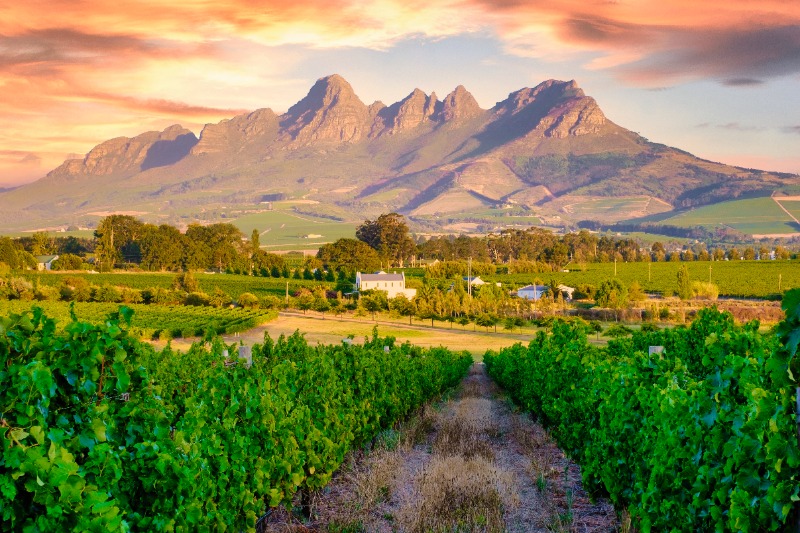 Le Cap  Route des vins - Le Cap